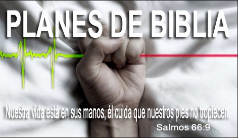 PLANES DE BIBLIA DE SUICIDIO